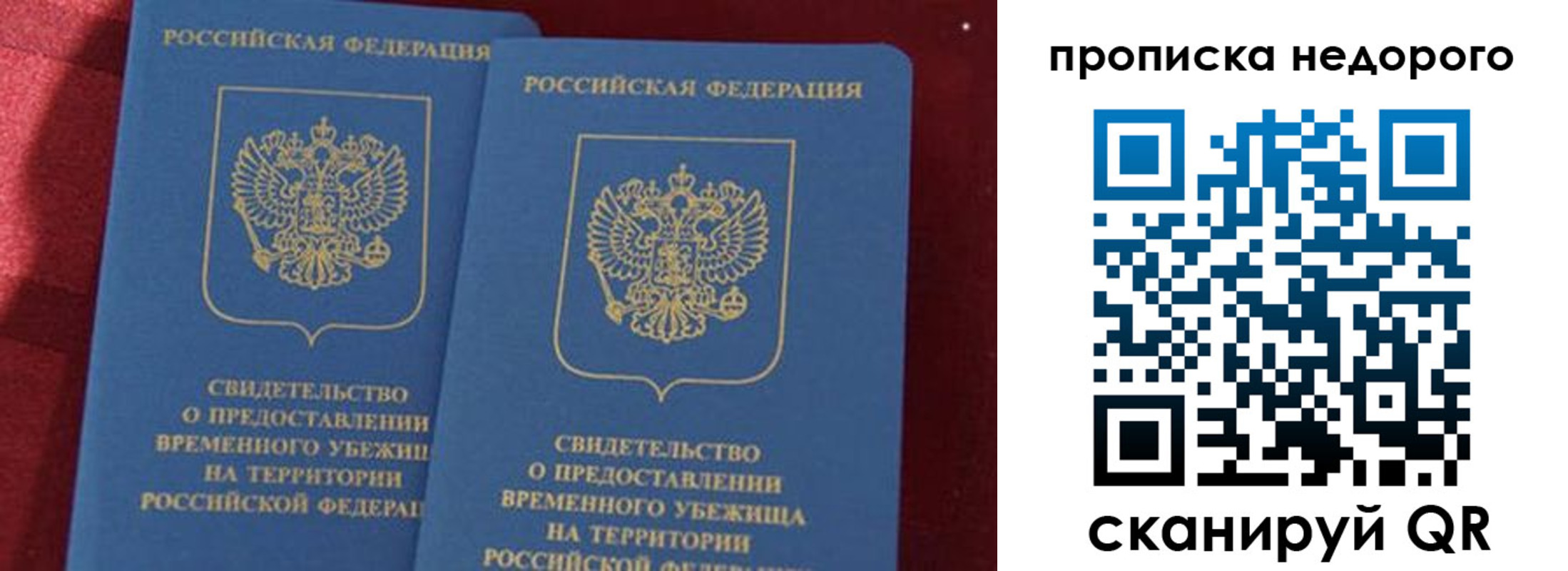 прописка гарантия в Торжоке